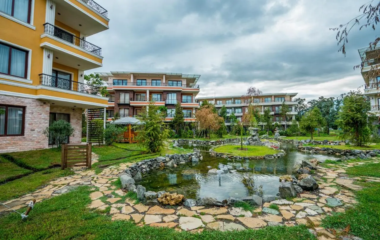 Dream Land Oasis