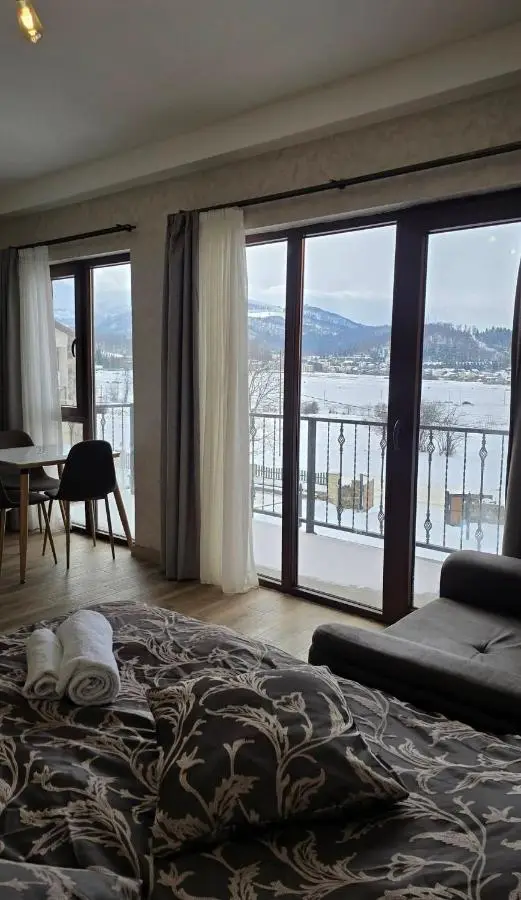 Bakuriani apartment 205 Tsakadze st 20