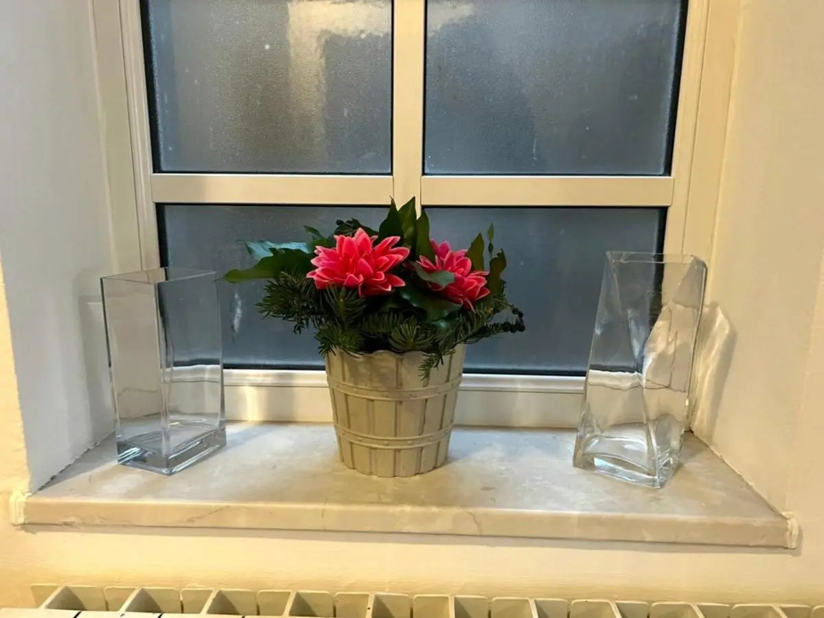 Homy apartment in city center Marijin Dvor