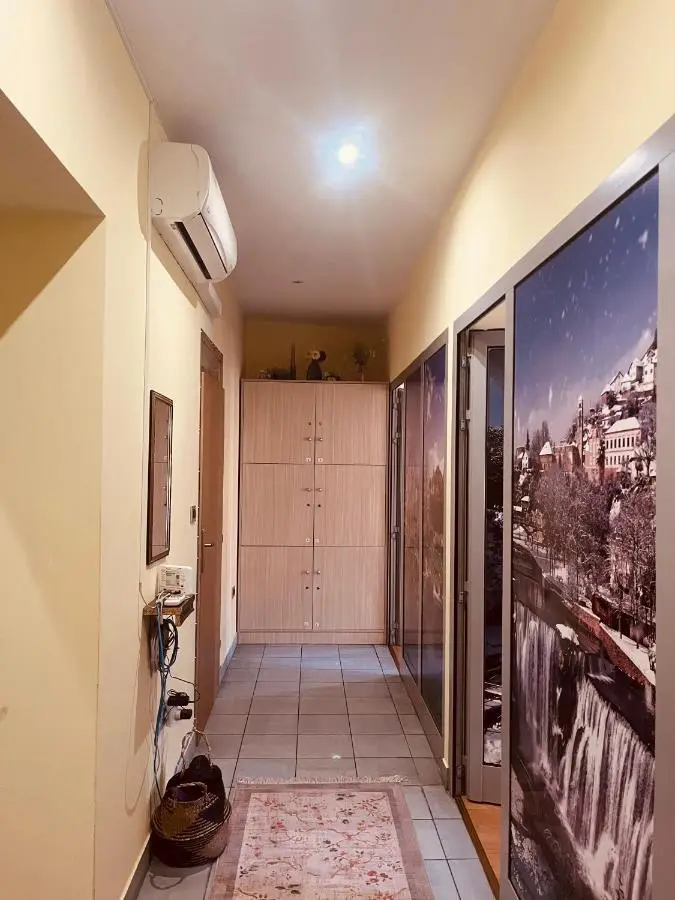 Apartman Vinkov's center
