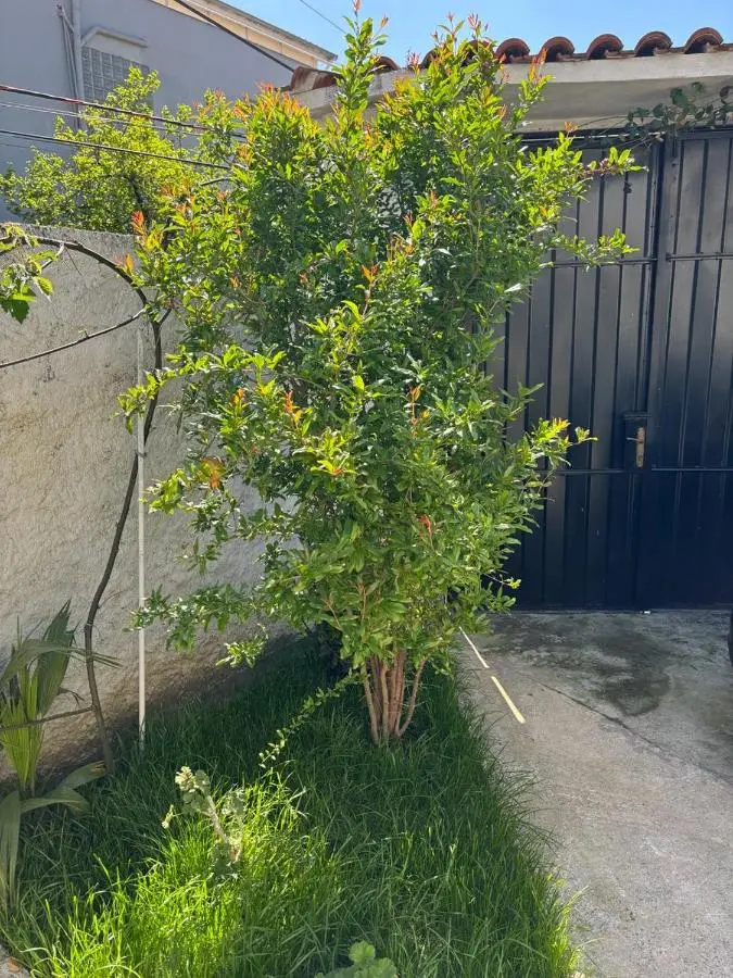 Garden One Bedroom Apartment