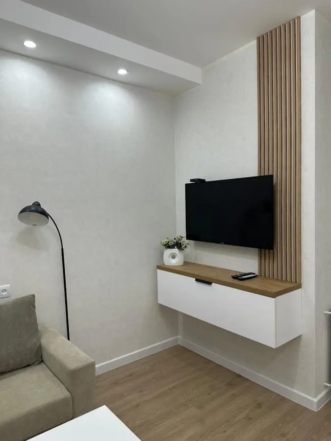Modern apartment in Borjomi