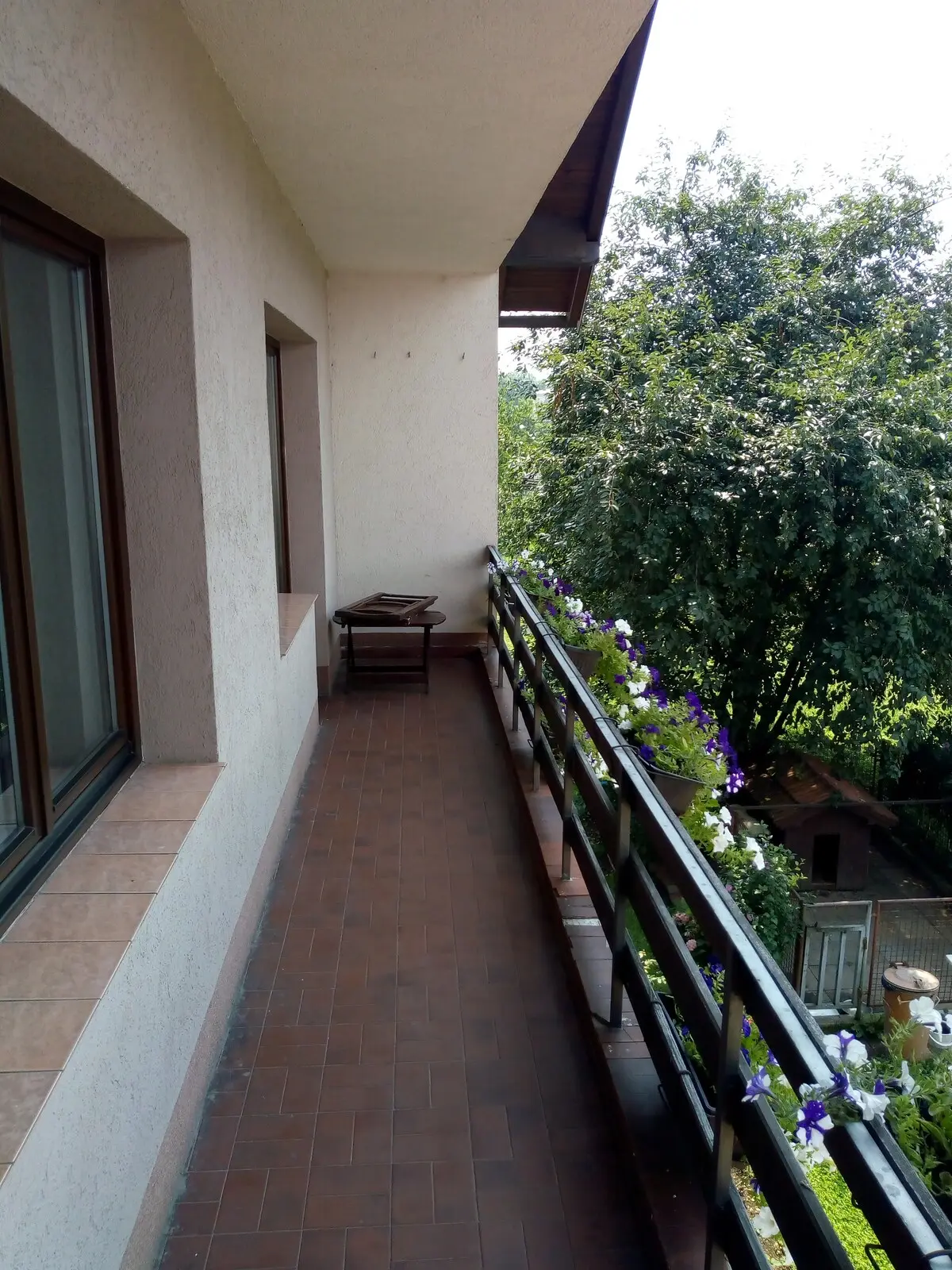 Oaza u centru Ilidže/Oasis in the center of Ilidža