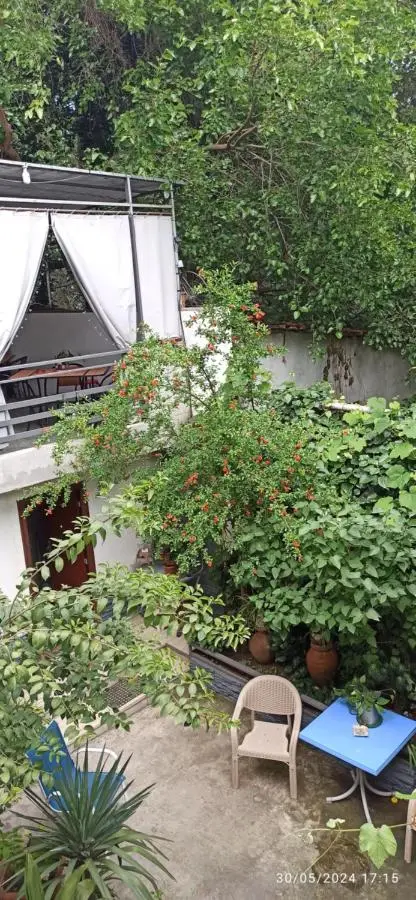 Apartments Lezzet