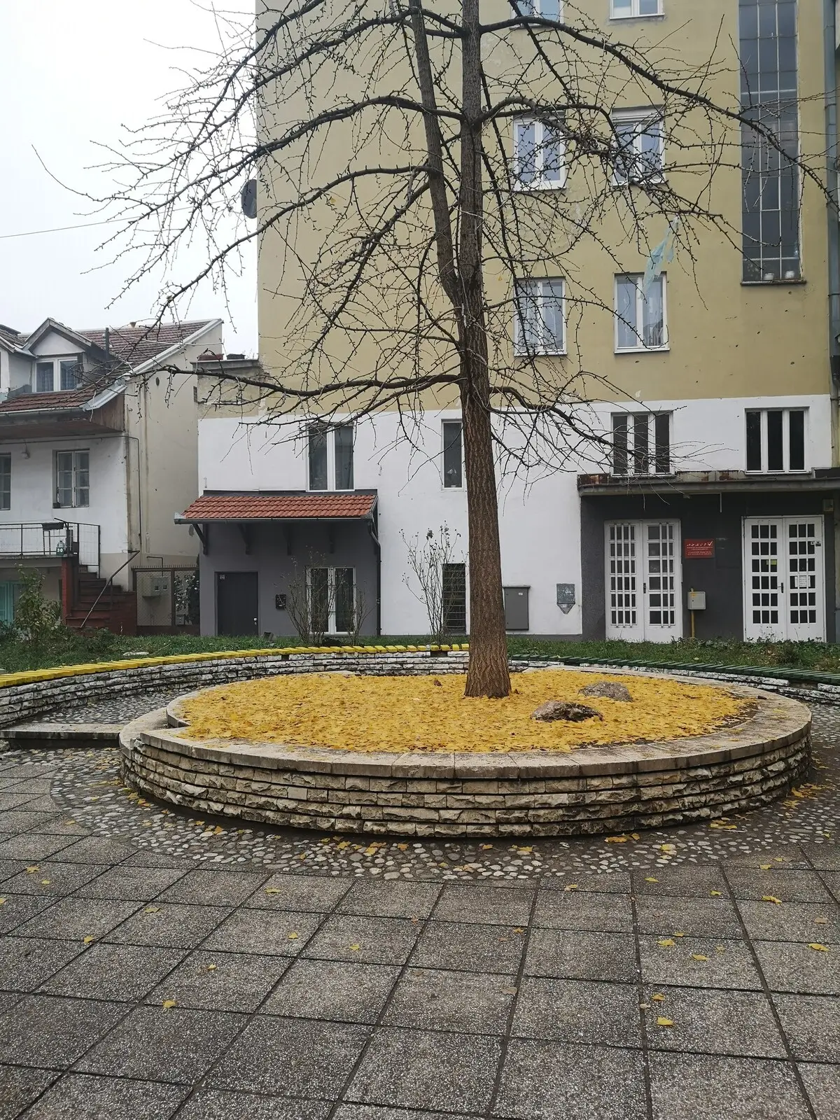 Gallery Apartment