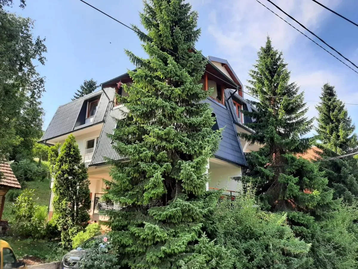 Guesthouse Hill