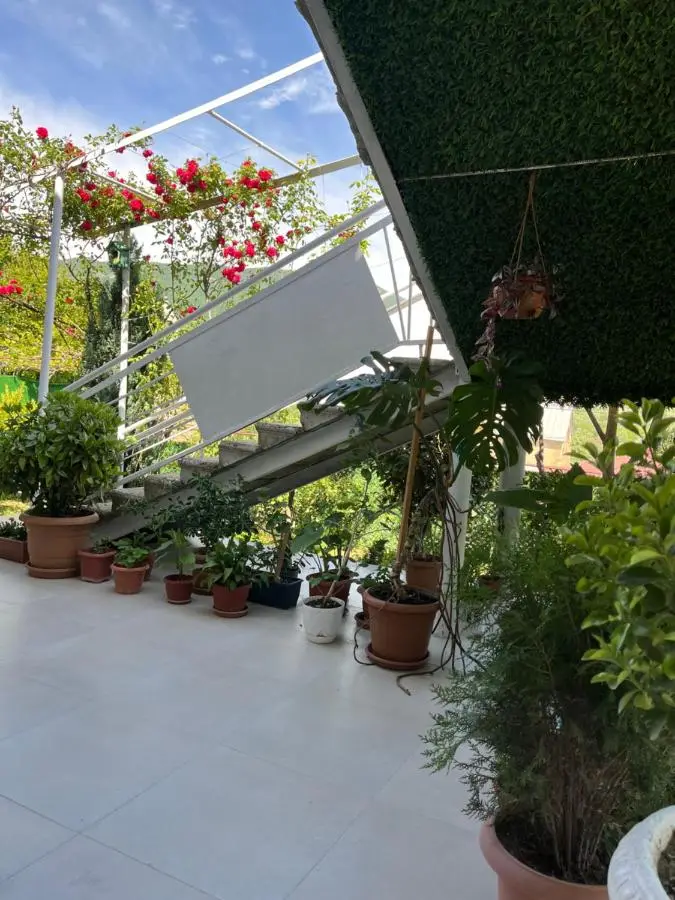 garden and panorama