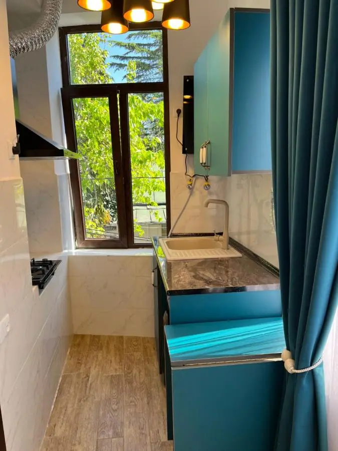 Guest house Mtani near Colchis fountain
