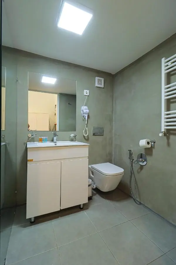 Stylish Apartment on Rustaveli Avenue