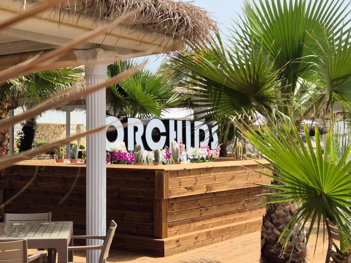 ORCHIDS Hotel