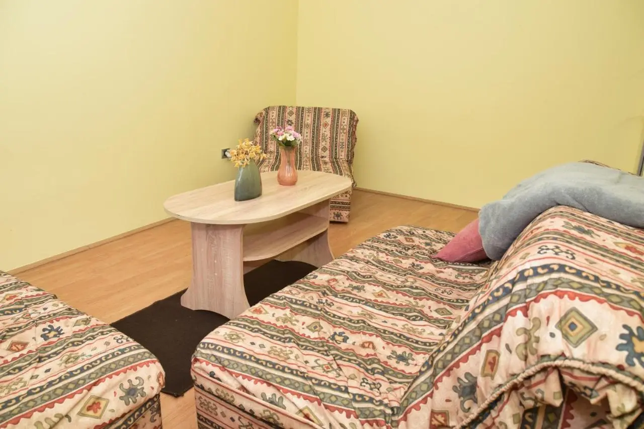 Apartman Vinkov's center