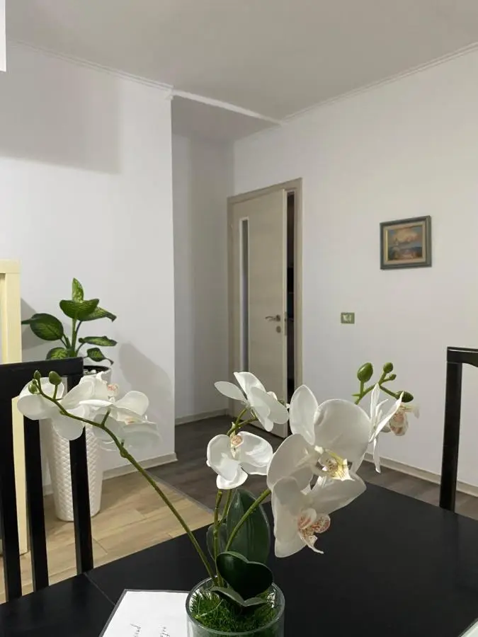MAin Apartment
