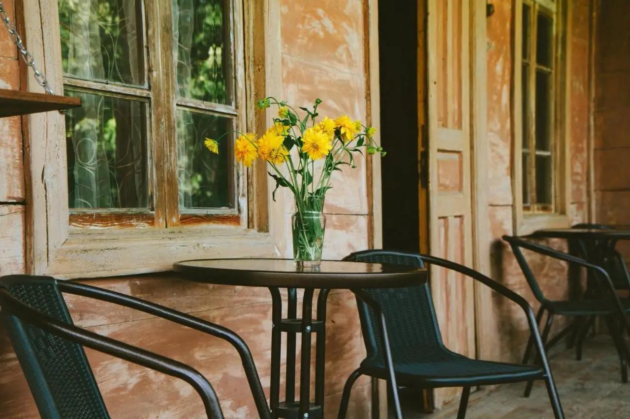 tsereteli's house