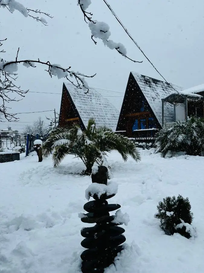Sunny Cottage