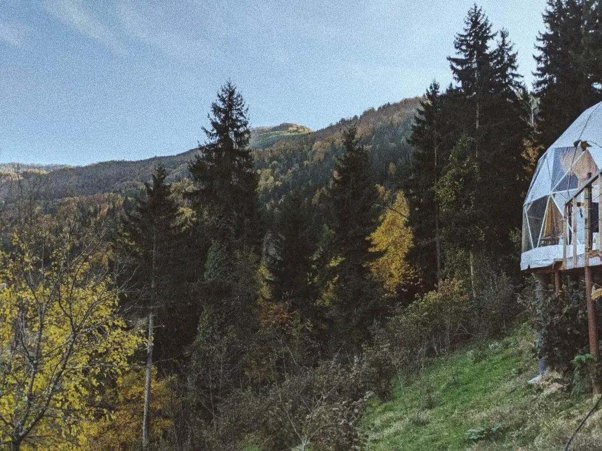 Ajara Glamping Kokotauri