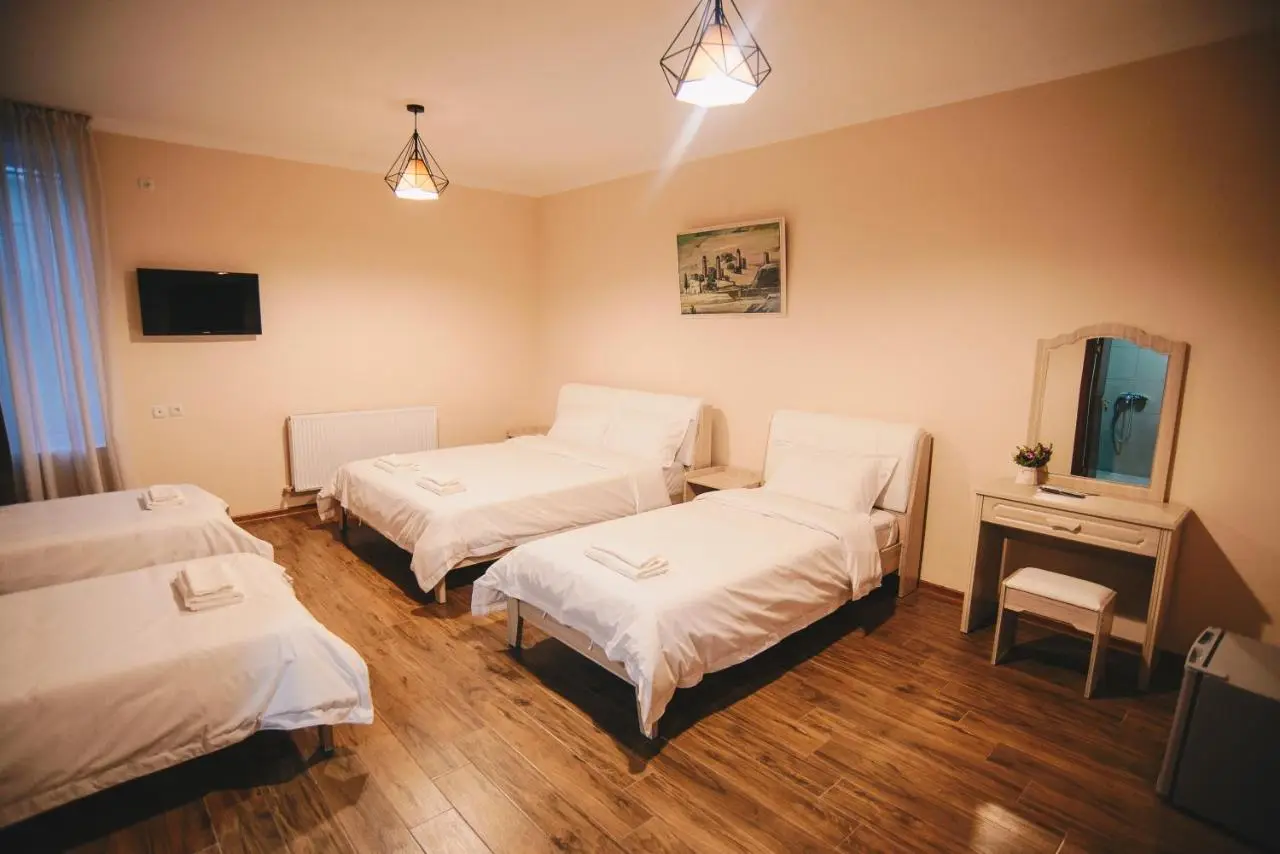 Hotel Sani Kutaisi