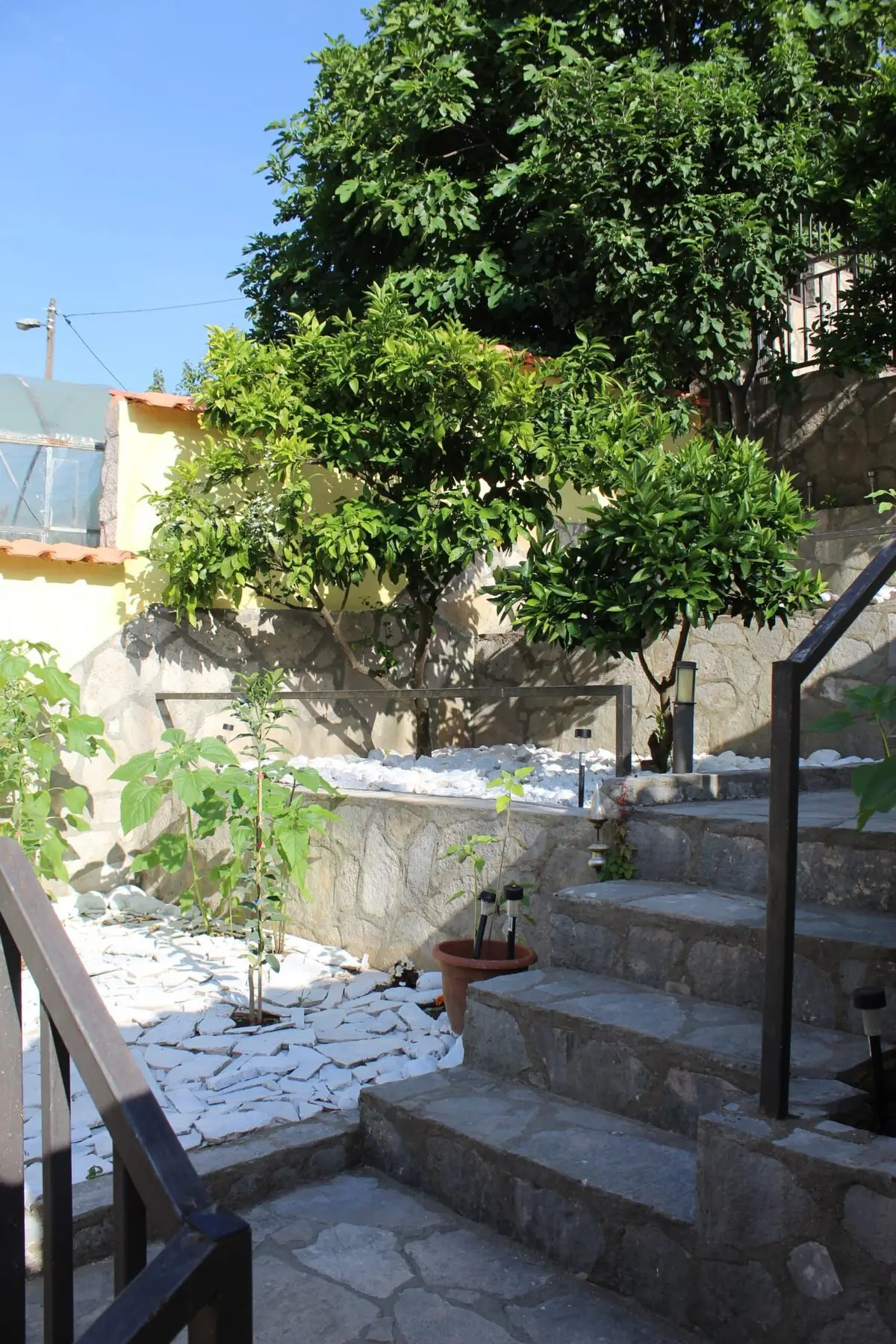 Mostar House
