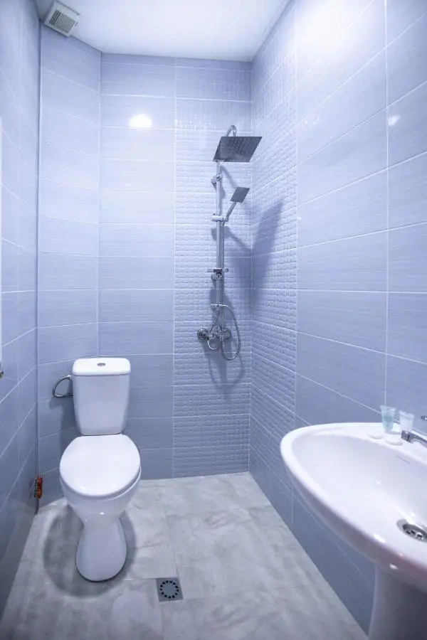 Hotel Caucasus Borjomi