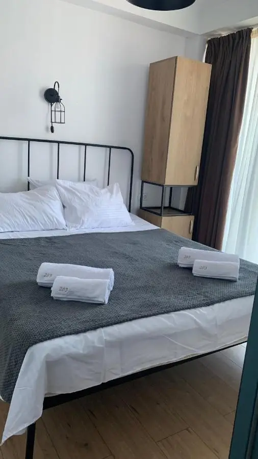 Bakuriani art apart hotel 203