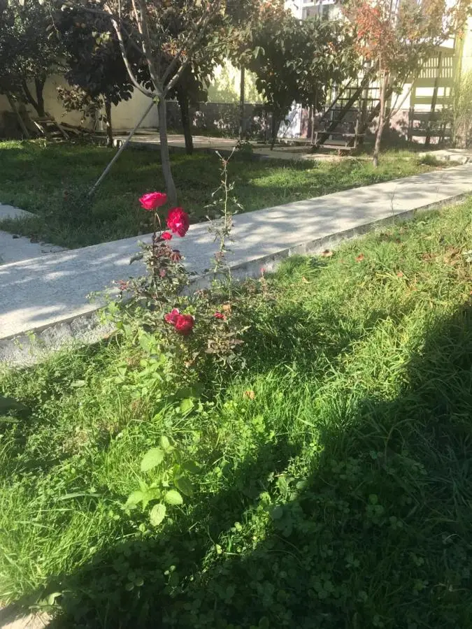 Apartments Firuze
