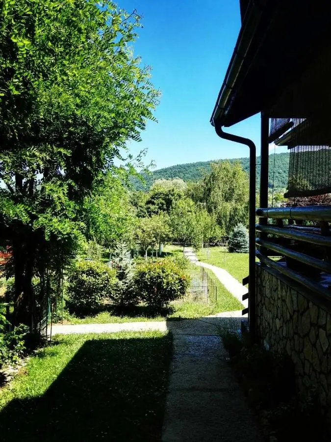 Green Oasis