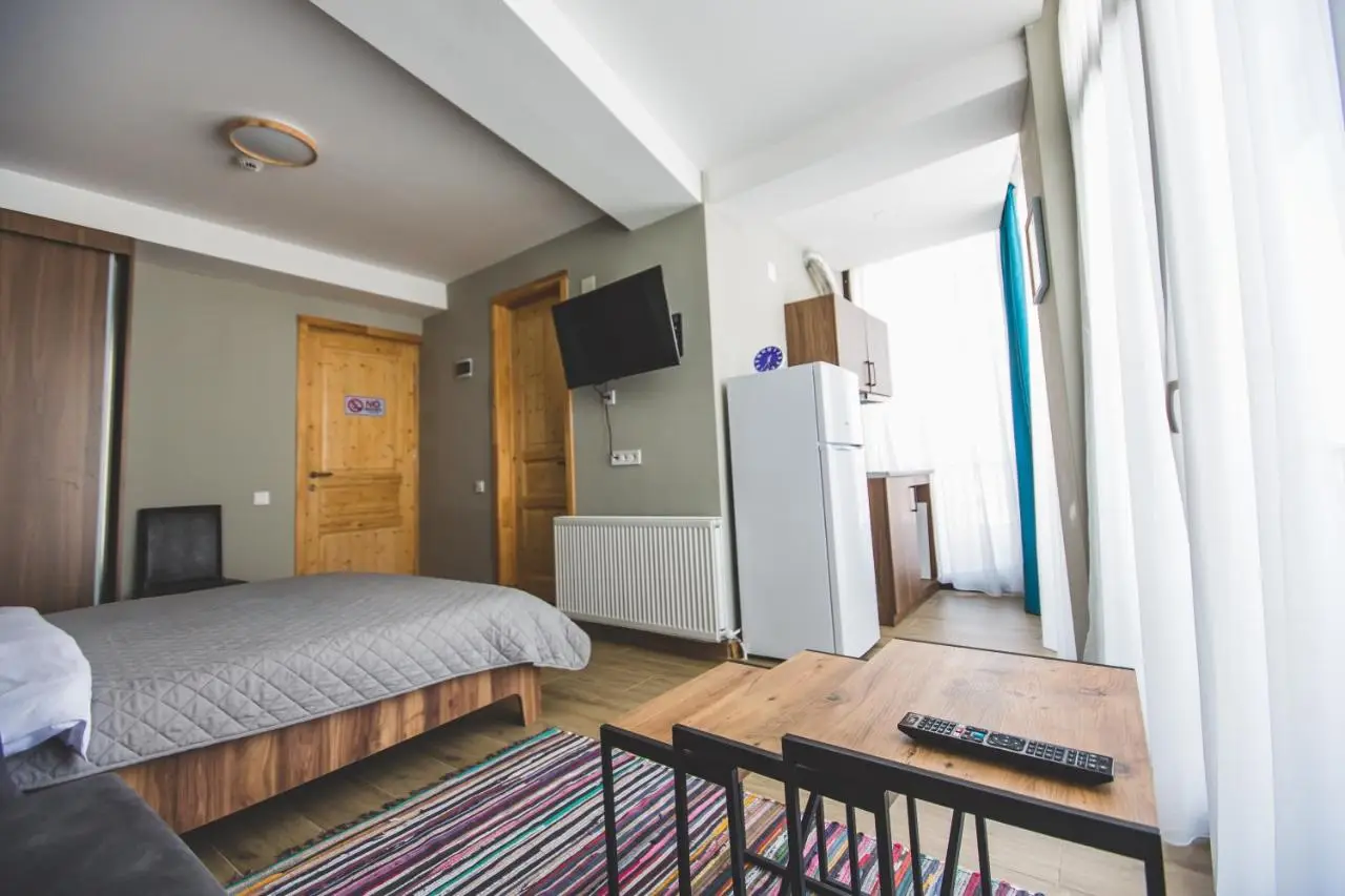Perfect studio near Didveli ski area