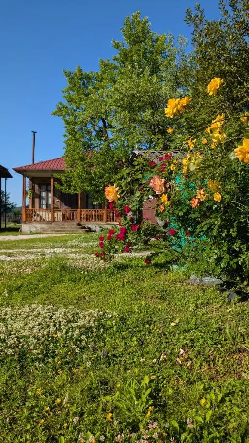 Martvili Guest House OASIS