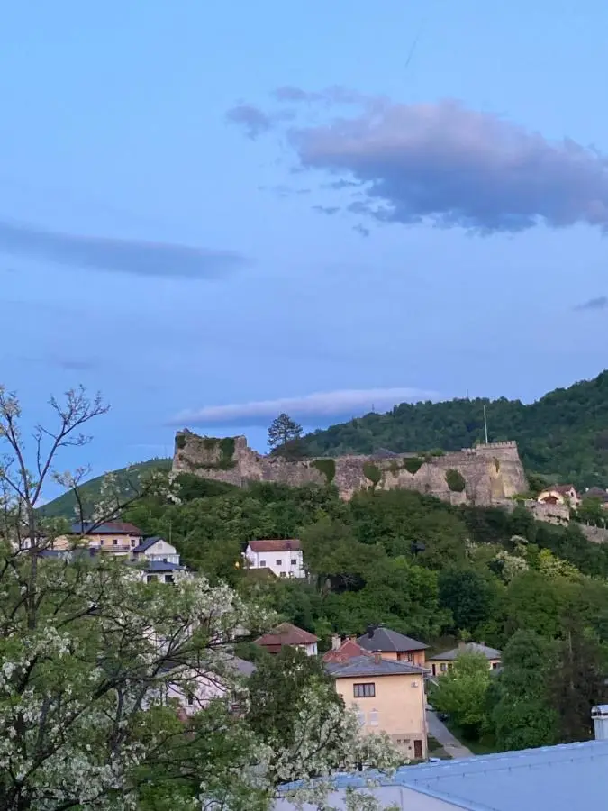 Vista Castle