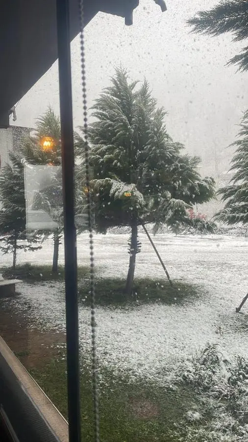 Yeşil ve huzur dolu bir daire