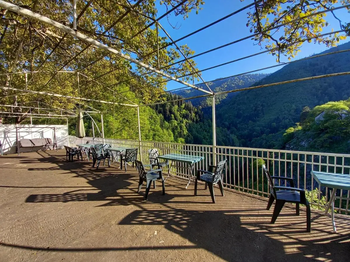 Hotel Villa Borjomi
