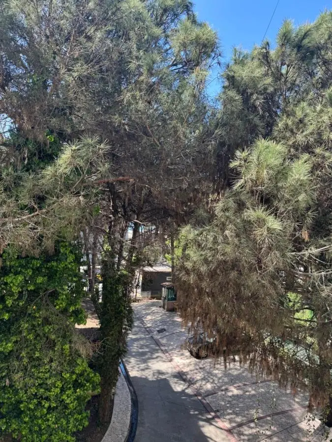 Silent Apartments