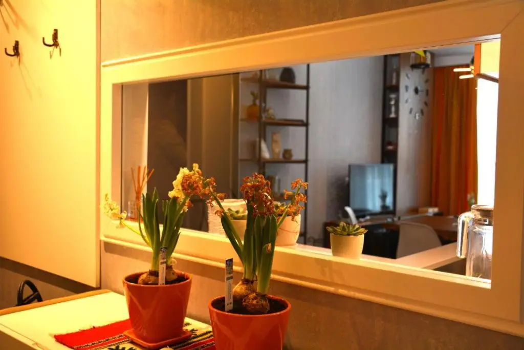 Central Deluxe Apartment