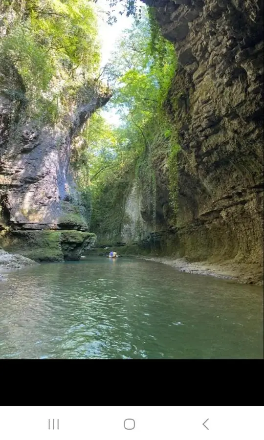 Cottage SA-LI - კოტეჯი SA-LI