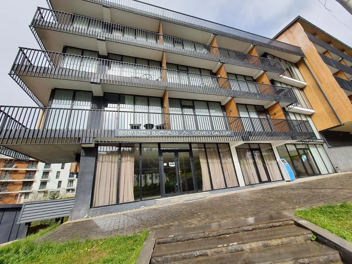 Perfect studio near Didveli ski area