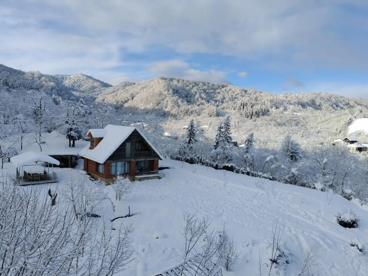 Shemoqmedi Chalet