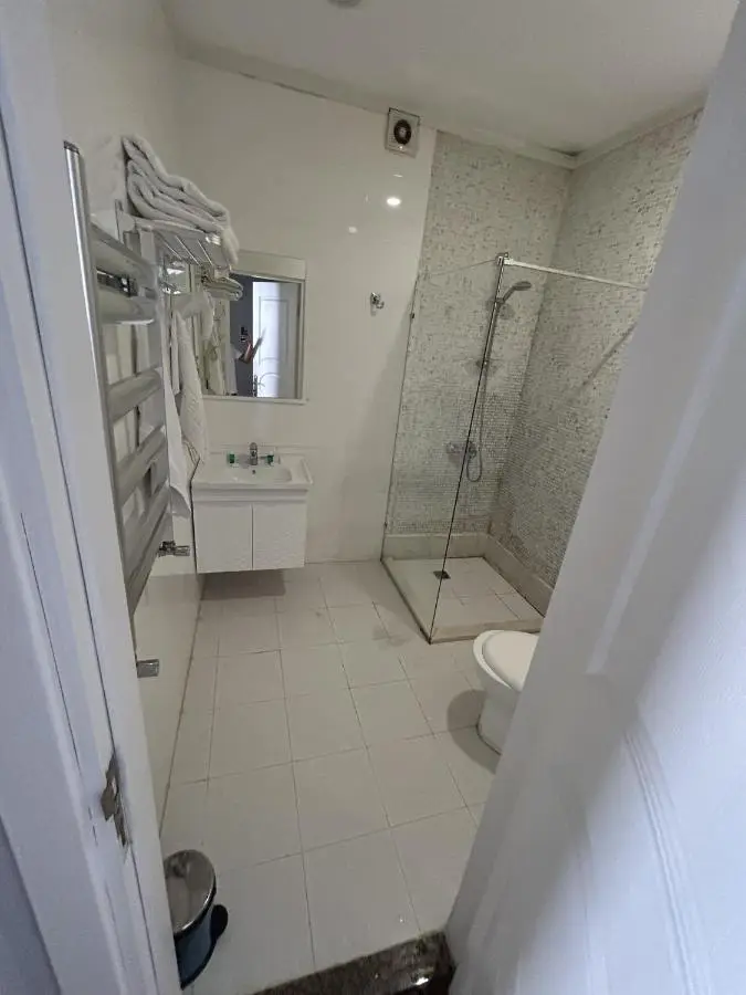 lux-deluxe city apartment