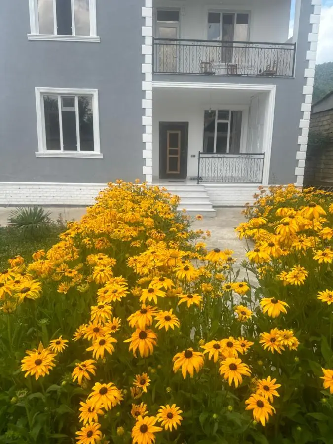 Dreamed Villa In Gabala