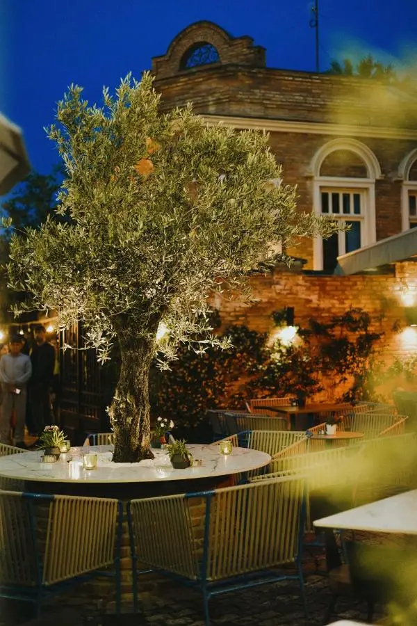 The Blue Fox Hotel