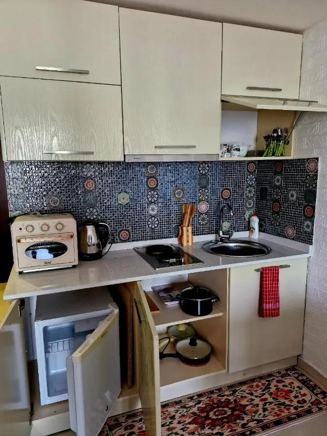 Apartment Spartak