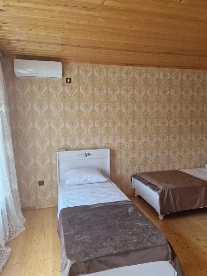 Mountain Resort House