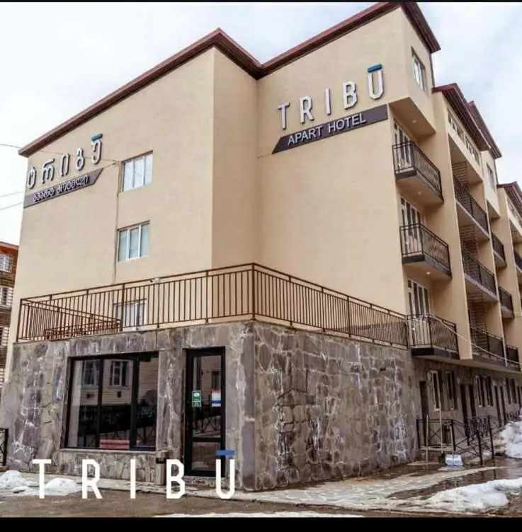 Tribu apart Hotel bakuriani