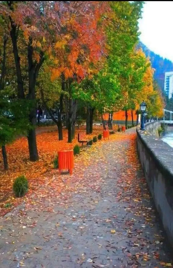 Gamsakhurdia Street