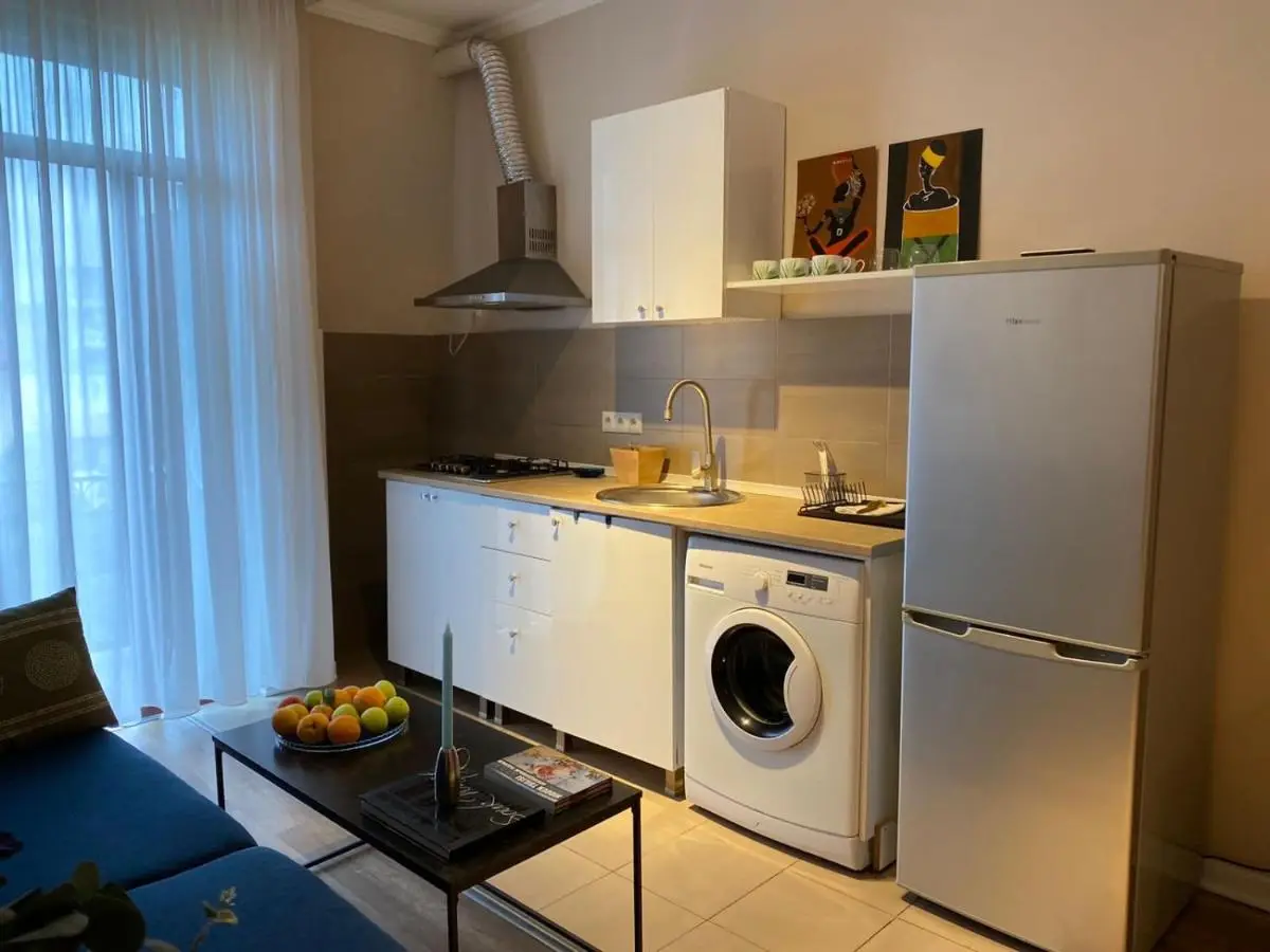 Renovated Apartment in Central Batumi