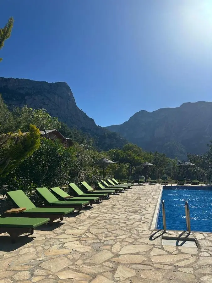 Olive Garden Kabak