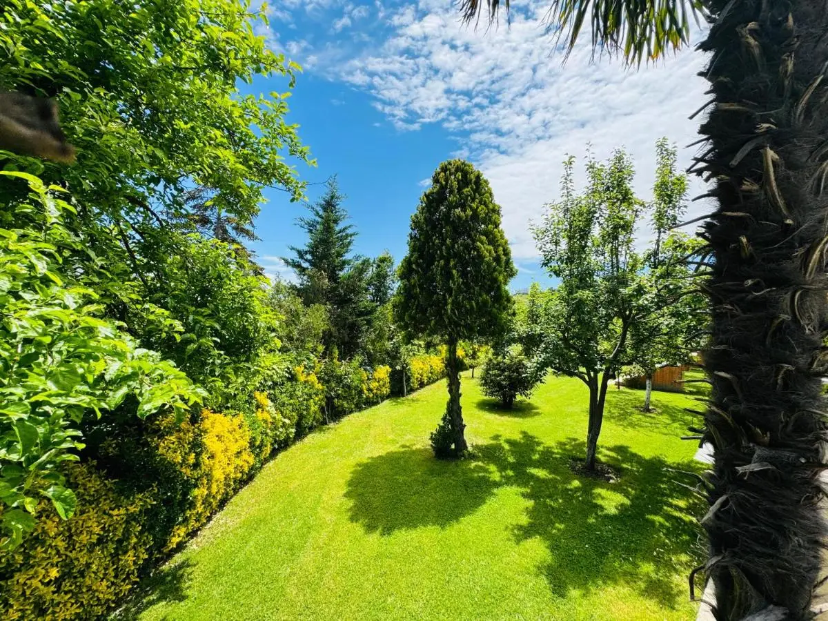 Treekos Boutique Hotel Istanbul Airport