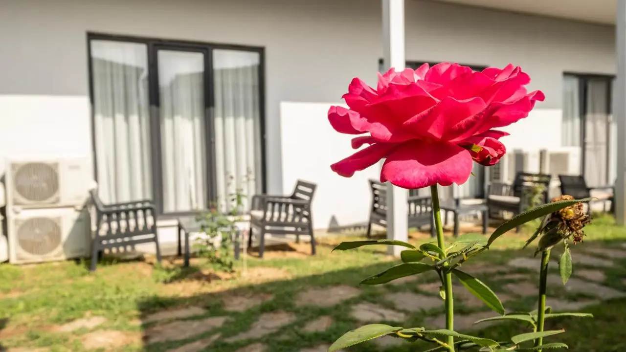 Yalıköy Deniz Otel Istanbul