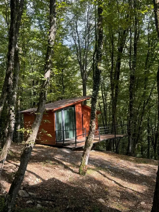 Eco Village In The Forest
