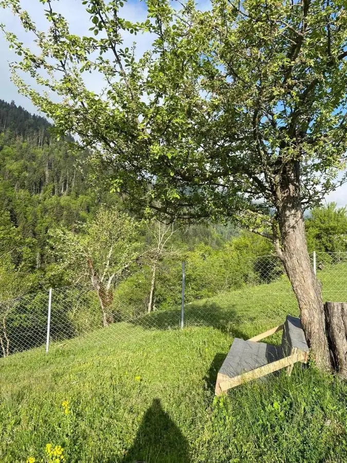 White House near Borjomi Sadgeri