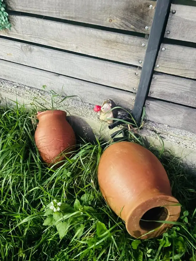Borjomi Story