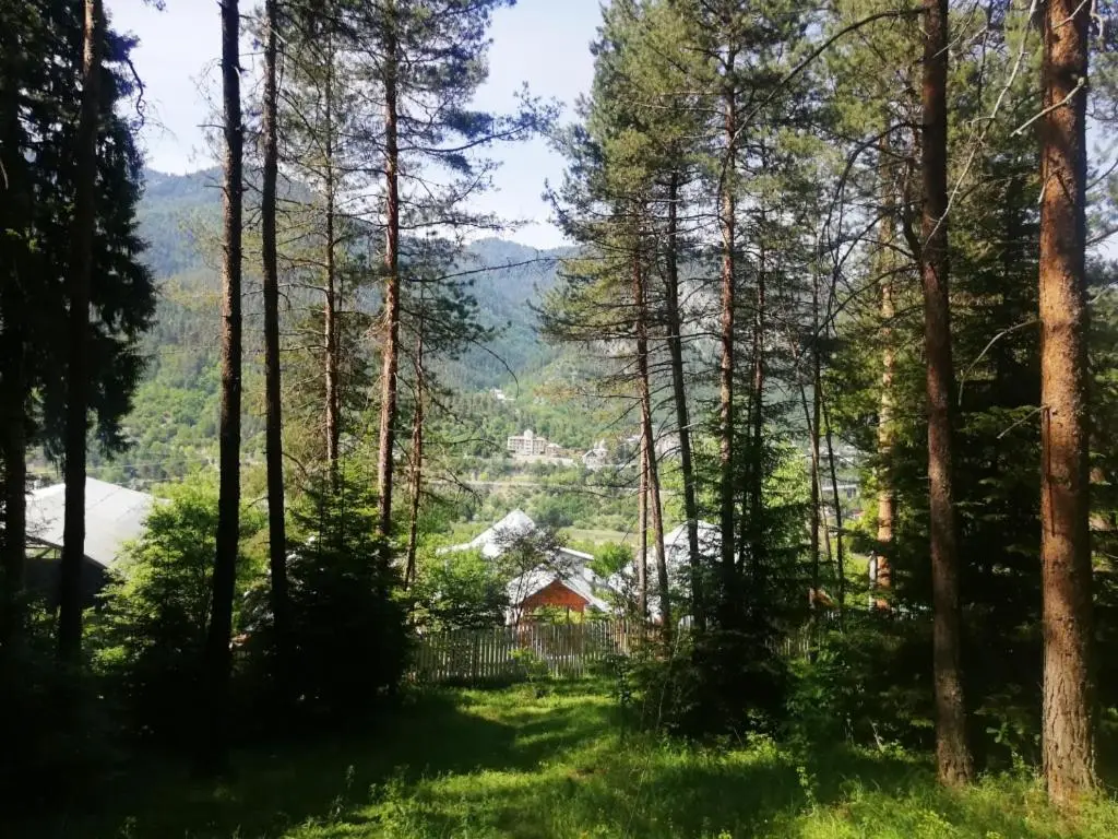 Guest House Ilia